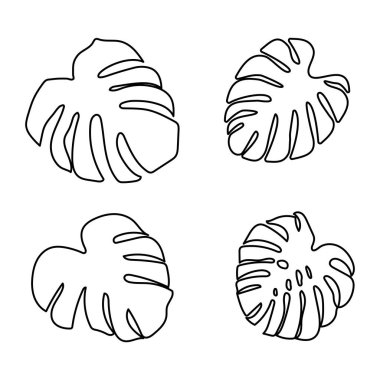 Monstera seti beyaz arka plan üzerinde güzel bir tarzda bırakır. Element dekoratif çiçek. Tropikal dekorasyon bitki yaprak siluet. İzole vektör tasarımı. Botanik çizim. Beyaz arka plan.