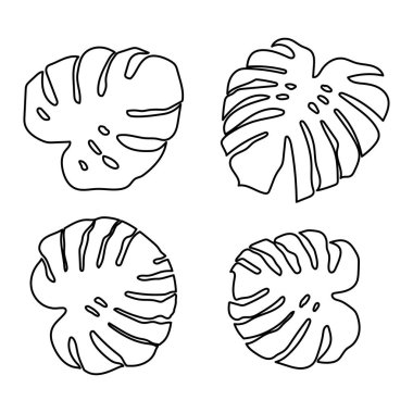 Monstera seti beyaz arka plan üzerinde güzel bir tarzda bırakır. Element dekoratif çiçek. Tropikal dekorasyon bitki yaprak siluet. İzole vektör tasarımı. Botanik çizim. Beyaz arka plan.