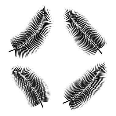 Dekoratif tasarım için Dypsis. Yalıtılmış işaret sembolü. Yalıtılmış vektör illüstrasyon. Dypsis yaz tropikal yaprak. Doğal bitki sembolü. Vektör arka planı. Egzotik orman ağacı simgesi.