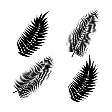 Dekoratif tasarım için Dypsis. Yalıtılmış işaret sembolü. Yalıtılmış vektör illüstrasyon. Dypsis yaz tropikal yaprak. Doğal bitki sembolü. Vektör arka planı. Egzotik orman ağacı simgesi.