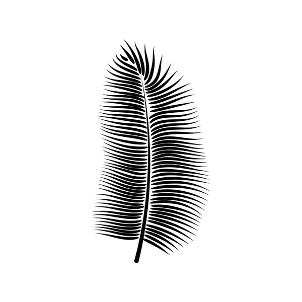 Dypsis para el diseño decorativo. Signo de símbolo aislado. Ilustración vectorial aislada. Hoja tropical de verano de Dypsis. Símbolo vegetal natural. Fondo vectorial. Icono de árbol de bosque exótico . — Vector de stock