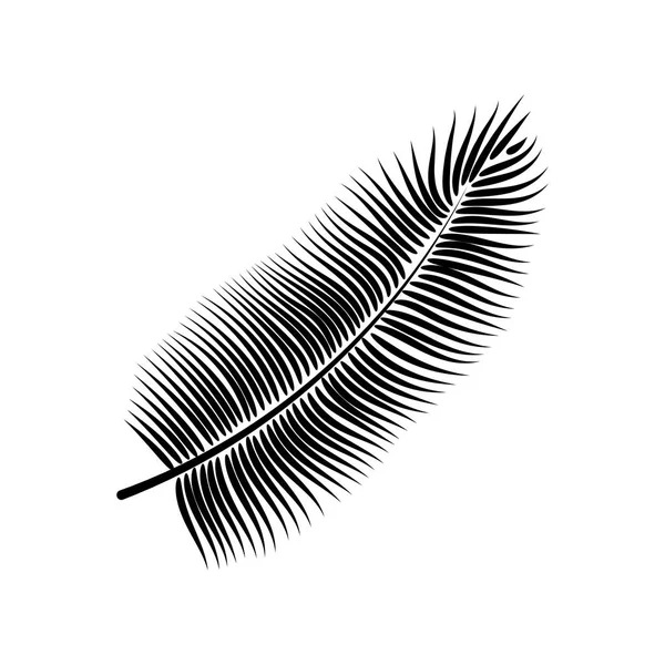 Dypse pour la conception décorative. Symbole du signe isolé. Illustration vectorielle isolée. Feuille tropicale estivale de dypsis. Symbole végétal naturel. Fond vectoriel. Icône arbre forêt exotique . — Image vectorielle