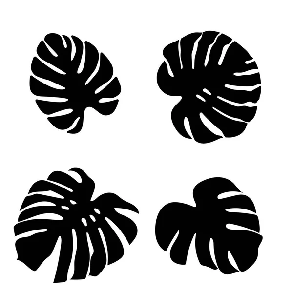 Set of black monstera leaves in beautiful style on white background. Element decorative floral. Tropical decoration plant leaf silhouette. Isolated vector design. Botanical drawing. White background. — Stock Vector