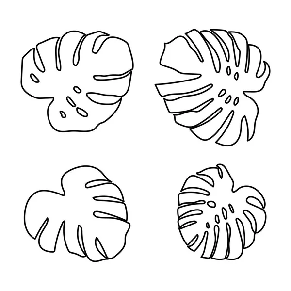 Uppsättning monstera löv i vacker stil på vit bakgrund. Element dekorativa blommig. Tropiska dekoration växt blad silhuett. Isolerad vektor design. Botanisk ritning. Vit bakgrund. — Stock vektor