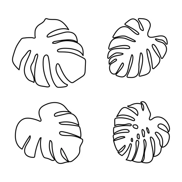 Zestaw liści Monstera w pięknym stylu na białym tle. Element dekoracyjny kwiatowy. Tropikalny ozdoba roślina liść sylwetka. Izolowany projekt wektorowy. Rysunek botaniczny. Białe tło. — Wektor stockowy