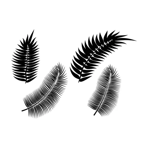 Dekoratif tasarım için Dypsis. Yalıtılmış işaret sembolü. Yalıtılmış vektör illüstrasyon. Dypsis yaz tropikal yaprak. Doğal bitki sembolü. Vektör arka planı. Egzotik orman ağacı simgesi.