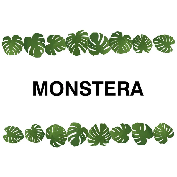 Foglia di Monstera. Set di foglie paradisiache su sfondo bianco. Illustrazione vettoriale. Estate disegno floreale. Arte botanica. Design della carta naturale. Set con foglie di monstera verde. Illustrazione tropicale . — Vettoriale Stock