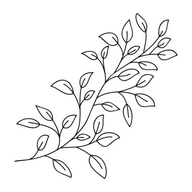 Elle çizilmiş yapraklar ve beyaz dallar. Doodle huş yaprakları tasarım için. Vektör çizimi. Botanik parmak izi. Organik doğal şekil. İzole huş dalı