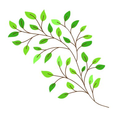 Bir huş ağacı dalının taşıyıcısı. Elle çizilmiş yapraklar ve beyaz dallar. Doodle huş yaprakları tasarım için. Vektör çizimi. Botanik parmak izi. Organik doğal şekil