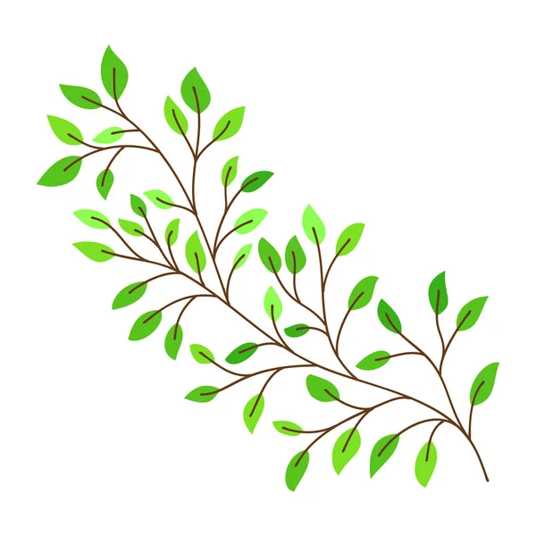 Vector Van Een Berkenboom Tak Handgetekende Bladeren Takken Geïsoleerd Wit — Stockvector