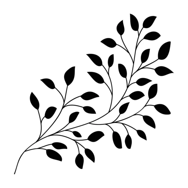 Ручной Рисунок Листьев Ветки Изолированный Силуэт Белом Листья Березы Дизайна — стоковый вектор