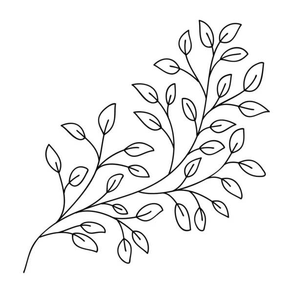 Handgetekende bladeren en takken geïsoleerd op wit. Doodle berkenbladeren voor ontwerp. Vector illustratie. Botanische afdruk. Organische natuurlijke vorm. Geïsoleerde berktak. — Stockvector