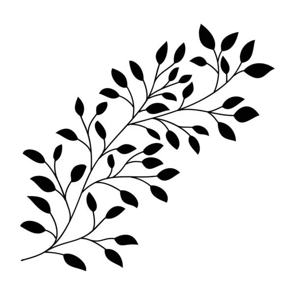 Handgetekende bladeren en tak geïsoleerd silhouet op wit. Doodle berkenbladeren voor ontwerp. Vector illustratie. Botanische afdruk. Organische natuurlijke vorm. Geïsoleerde berktak. — Stockvector