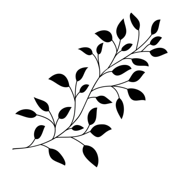 Handritade blad och gren isolerad siluett på vitt. Doodle björklöv för design. Vektorillustration. Botaniskt tryck. Organisk naturlig form. Isolerad björkgren. Stockillustration
