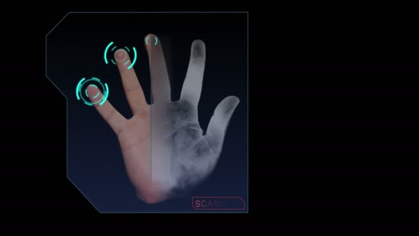 Анимация Ручного Сканирования Предмет Безопасности Идентификации — стоковое видео