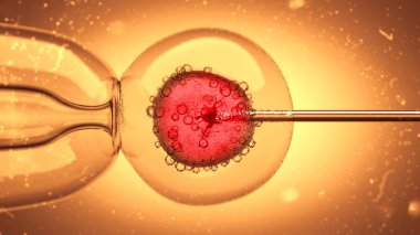 3D Illustration of a DNA filled liquid being injected into an egg cell nucleus clipart