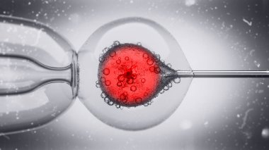 bir yumurta hücre çekirdeği enjekte bir dolu Dna sıvı 3D çizimi