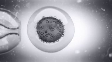 bir yumurta hücre çekirdeği enjekte bir dolu Dna sıvı 3D animasyon
