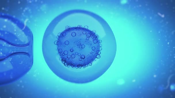 Animation Dna Filled Liquid Being Injected Egg Cell Nucleus — Stock Video ©  razvan25 #233373530