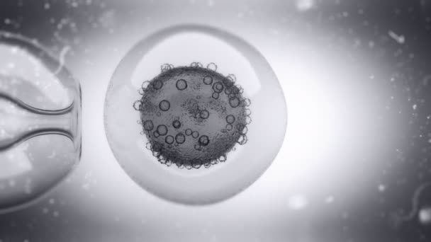 Bir Yumurta Hücre Çekirdeği Enjekte Bir Dolu Dna Sıvı Animasyon — Stok video