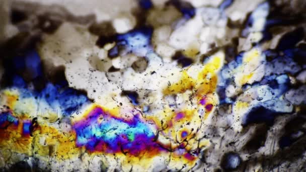Кристаллы Льда Тают Поляризованным Световым Микроскопом — стоковое видео