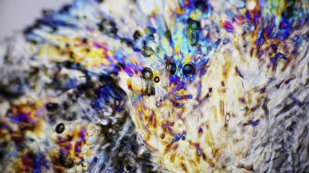 Ledové Krystalky Tání Pod Polarizované Světlo Mikroskop — Stock video