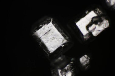 Şeker kristalleri polarize ışık mikroskop altında