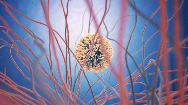 bir beyaz kan hücresi (Ayrıca denilen lökosit veya leucocytes 3D çizimi)