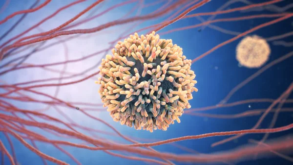 bir beyaz kan hücresi (Ayrıca denilen lökosit veya leucocytes 3D çizimi)
