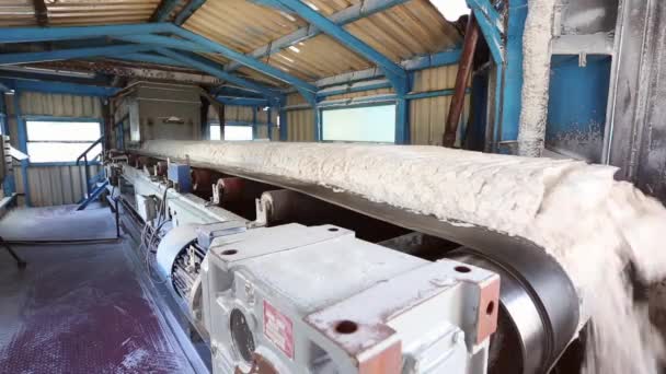 Courroie Transporteuse Transportant Hydroxyde Aluminium Vers Installation Stockage — Video