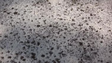 Tuz üzerinde balık pişirme için hazır ateşe