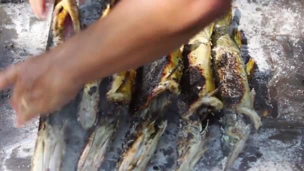 Παραδοσιακά Ψημένα Ψάρια Ένα Στρώμα Αλατιού Στο Δέλτα Του Δούναβη — Αρχείο Βίντεο