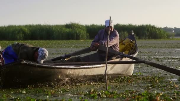 Danube Delta Romania June 2019 Fishermen Checking Nets Dawn Danube — Stock Video