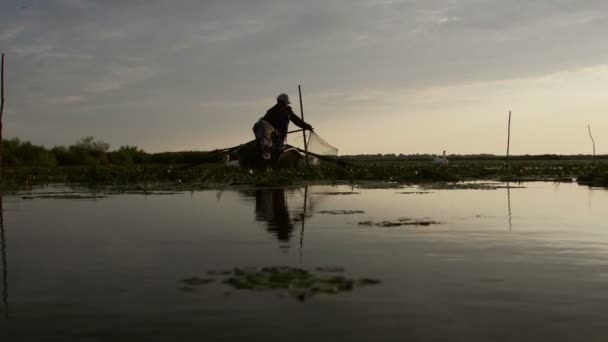 ドナウデルタ ルーマニア 2019年6月16日 ドナウデルタの夜明けに網をチェックする漁師 — ストック動画