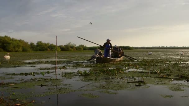 Дельта Дуная Румыния Июня 2019 Года Рыбаки Проверяют Сети Рассвете — стоковое видео