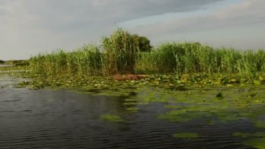 Danube delta sulak hareket