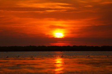 Tuna Deltası'nda bir gölde güzel bir gün doğumu