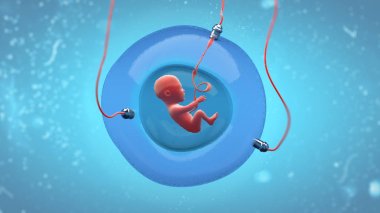 Concept illustration of a fetus development in an artificial gestational sac clipart