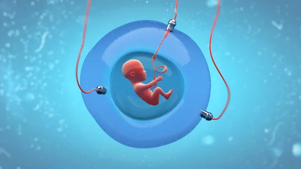 Yapay gestasyonel kesede fetus gelişiminin kavram illüstrasyonu