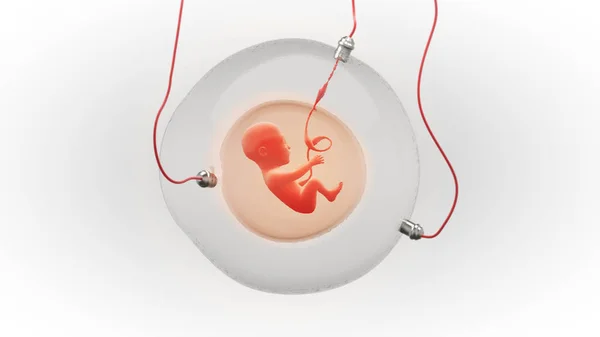Konzeptillustration Der Entwicklung Eines Fötus Einem Künstlichen Schwangerschaftssaft — Stockfoto
