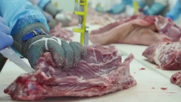 食肉加工工場で肉を切る肉屋 — ストック動画