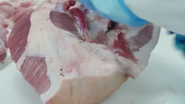 Açougueiro Que Corta Carne Uma Fábrica Processamento Carne — Vídeo de Stock