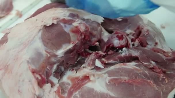 Açougueiro Que Corta Carne Uma Fábrica Processamento Carne — Vídeo de Stock