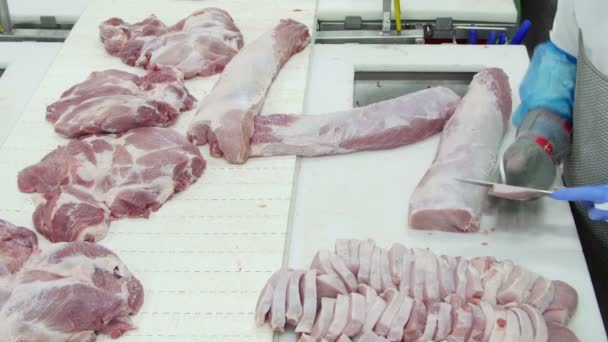 Slager Die Vlees Snijdt Een Vleesverwerkende Fabriek — Stockvideo