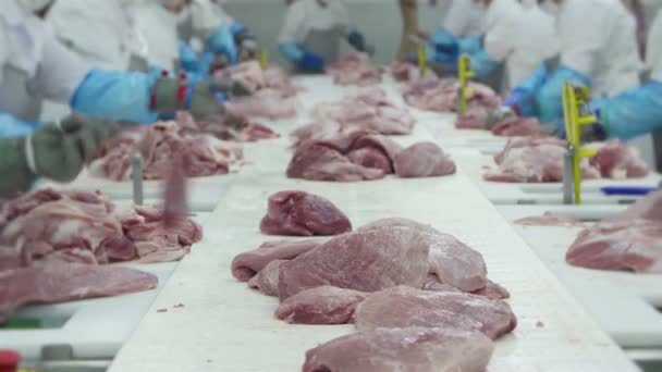 在肉类加工厂工作的屠夫小组 — 图库视频影像