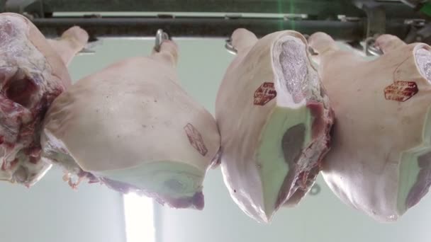 食肉加工工場のフックにぶら下がる豚肉の脚 — ストック動画