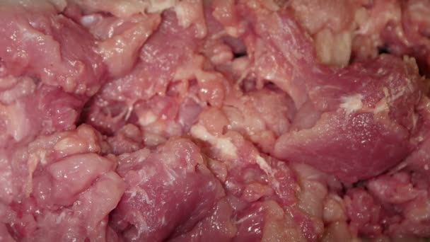 Máquina Picadora Carne Moliendo Carne Una Fábrica Procesamiento Carne — Vídeos de Stock