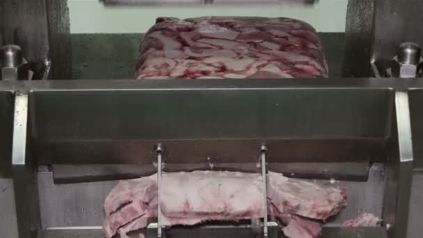 Fryst Kött Skärmaskin Som Verkar Kött Bearbetnings Fabrik — Stockvideo