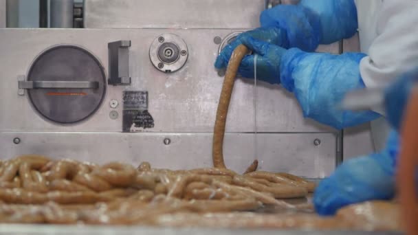 Produktion Von Wurst Einer Fleischverarbeitungsfabrik — Stockvideo