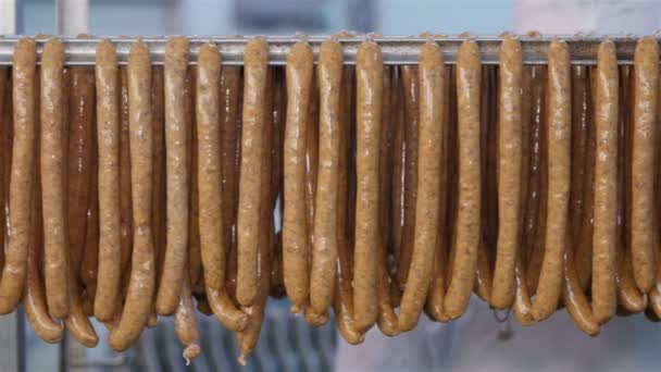 新鲜香肠放在肉类加工厂的架子上 — 图库视频影像
